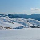 웰빙한우 이미지