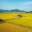 홍천군농업기술센터농기계창고 | 귀농귀촌, 지역별 맞춤 전략은?