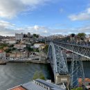 DE052 | 스페인🇪🇸포르투갈🇵🇹 2주 여행 포르투 1일차(리스본에서 포르토, 동루이스다리, 테일러스 와이너리투어...