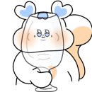 Noto 이미지