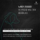 월드펫동물병원 이미지