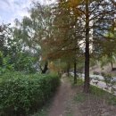 지에스25뚝섬유원지점 이미지