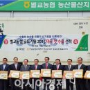 벌교농협농산물산지유통센터 이미지