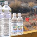 지리산민들레 이미지