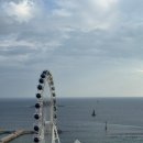 새하늘약국 | 겨울 속초 뚜벅이 혼자 여행 3, 4일차🌤️ | 소품샵·낙산사·고양이·배달음식·바다소금라떼