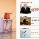 르네상스 미용실 이미지