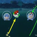 (주)티모션코리아 이미지