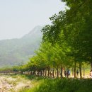 한국전기안전동우회