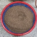 동신방앗간 이미지