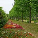 장자호수공원 이미지