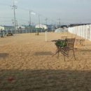 놀러오시개 이미지