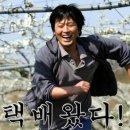 대륙밧데리 이미지