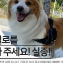 믿음한우농장 - 무안군 남악2로22번길 30 | 믿음한우농장