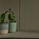 큐플란트치과의원 | 연세굿플란트치과, 임플란트 성공후기 대공개