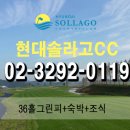 현대골프장1 이미지