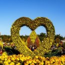 영광모싯잎송편(세종) 이미지