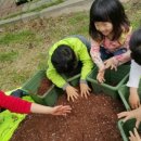 광령초등학교 병설유치원 이미지