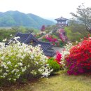 홍천리조텔 이미지