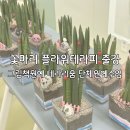 그림책과 함께하는 인성 수업 이미지