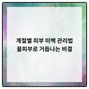 비티성형외과의원 이미지