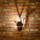 사월호텔 이미지