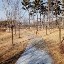 고들재로 이미지