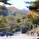 보현사앞 네이버블로그