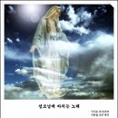 (주)씨튼 이미지