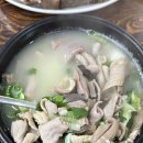 충절로 | 천안 원성동 권구성 순대국밥 24시간 영업 맛집 내돈내산 솔직후기