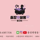 출장펫쌀롱 빙구네 이미지