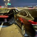 막심이네-수입 이미지