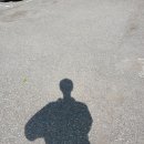 (맑은누리 동네배움터) 그림책과 초록 세상 | 일상 특집 기획: 여름 회상록