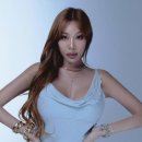 제시 이미지