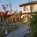 무이림3 이미지