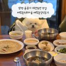 양평 용문사 애견동반 맛집 메밀촌두부마을 메밀촌정식후기