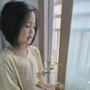 여솔이네