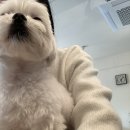 올이즈웰 이미지