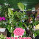 호경산업 이미지