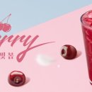 빽다방 문산당동점