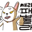 장날상회 이미지
