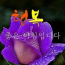 오늘은 - 충주시 번영대로 120 | 오늘은