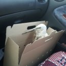 벌말3길 이미지