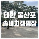 몽산포캠핑장 솔비치캠핑장 맛조개 잡으러 1박 2일 숙박 후기