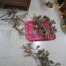 (주)성우식품 이미지