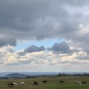 선양목장 이미지