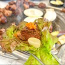 힐링정육식당 이미지