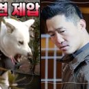 개통령 이미지