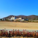 의성생활체육공원 테니스장 이미지