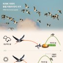 기후변화 시대, 꽃의 미래는 어떻게 달라질까? 이미지