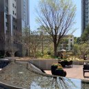 개포동 래미안 포레스트 이미지